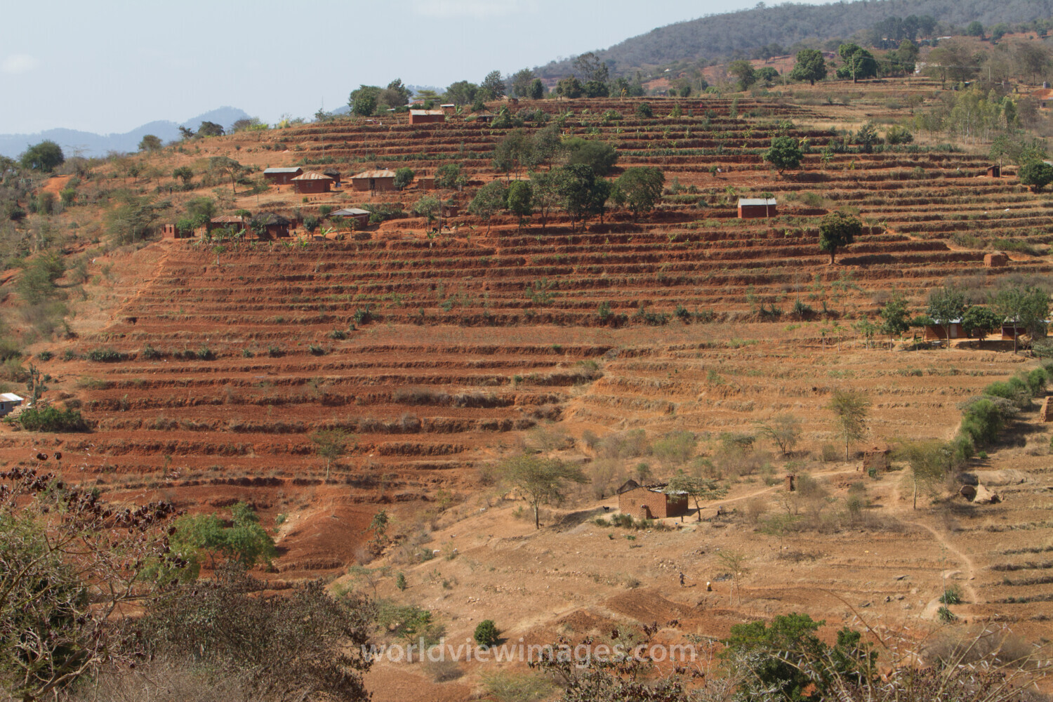 Terracing in Kenya