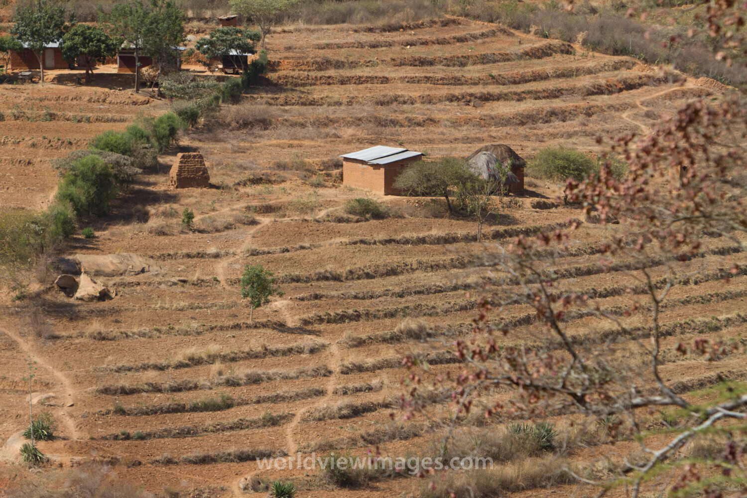 Terracing in Kenya