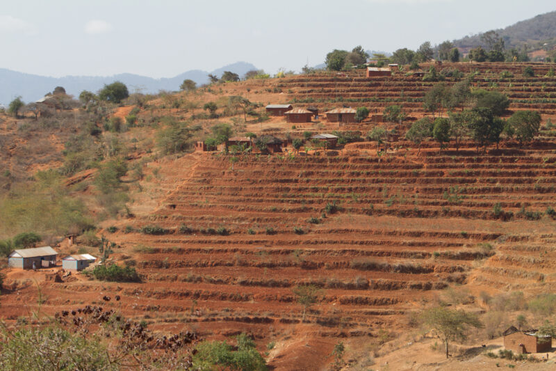 Terracing in Kenya — Farmers experienced a 50% increase in their crops by developing their hillsides for agriculture using terracing — Kenya, Africa, Agricul...