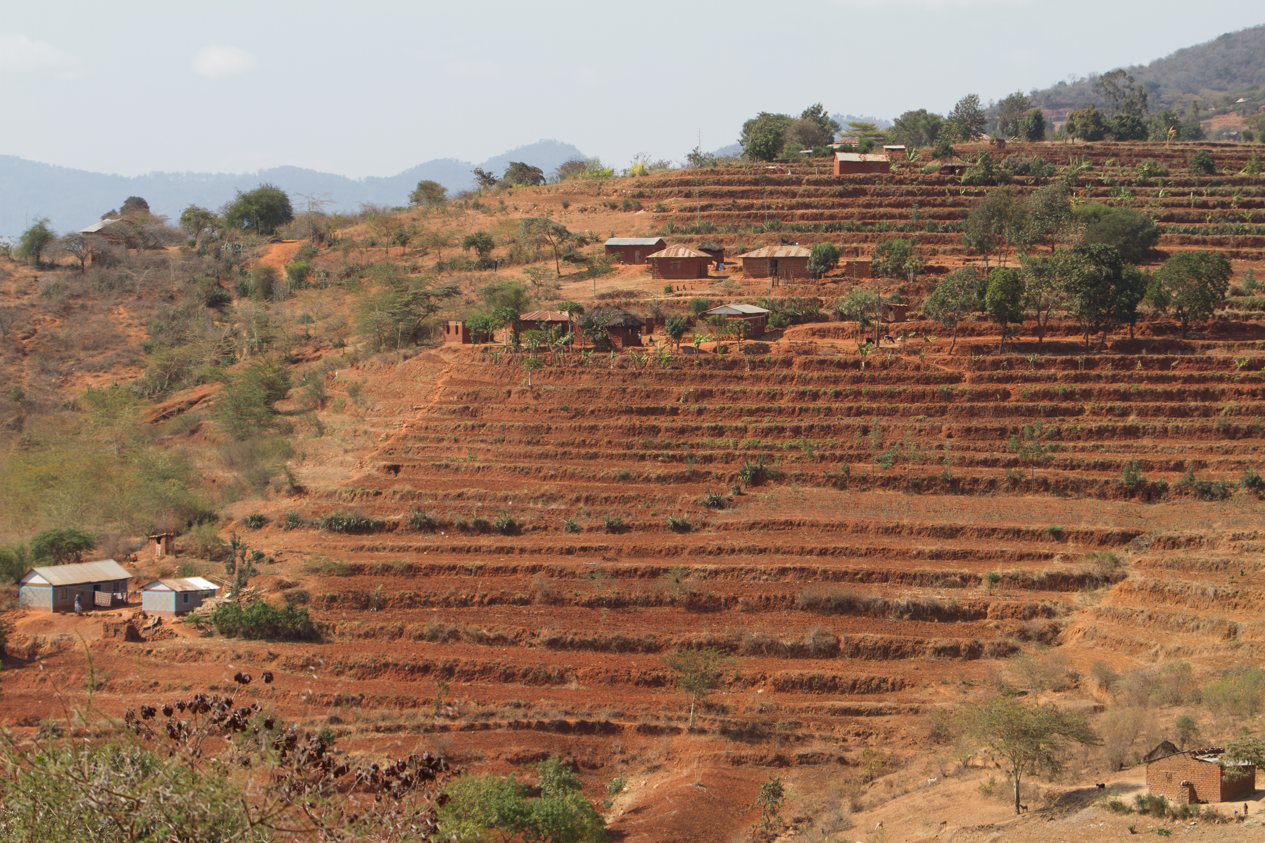 Terracing in Kenya
