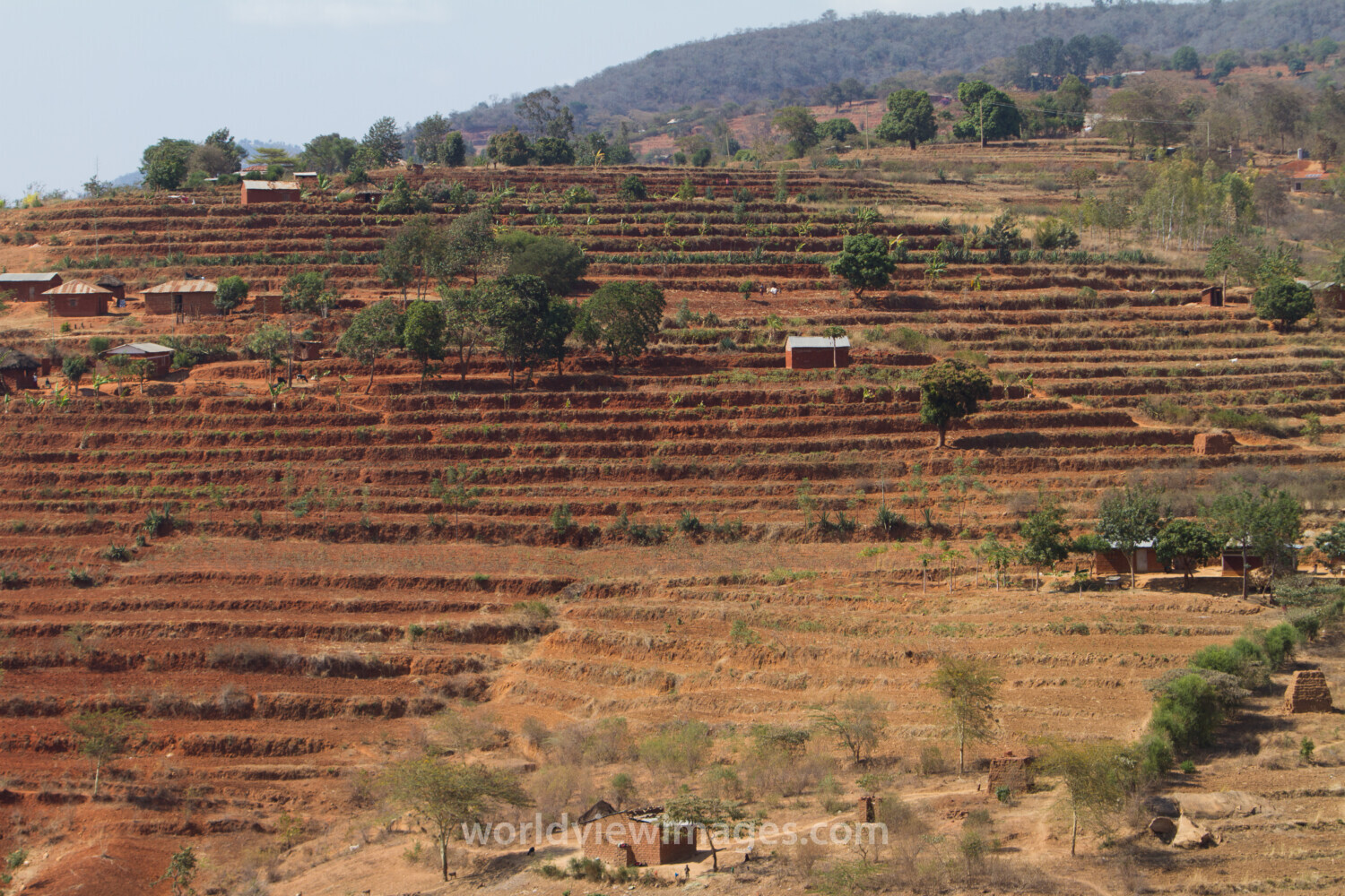 Terracing in Kenya