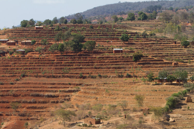 Terracing in Kenya — Farmers experienced a 50% increase in their crops by developing their hillsides for agriculture using terracing — Kenya, Africa, Agricul...
