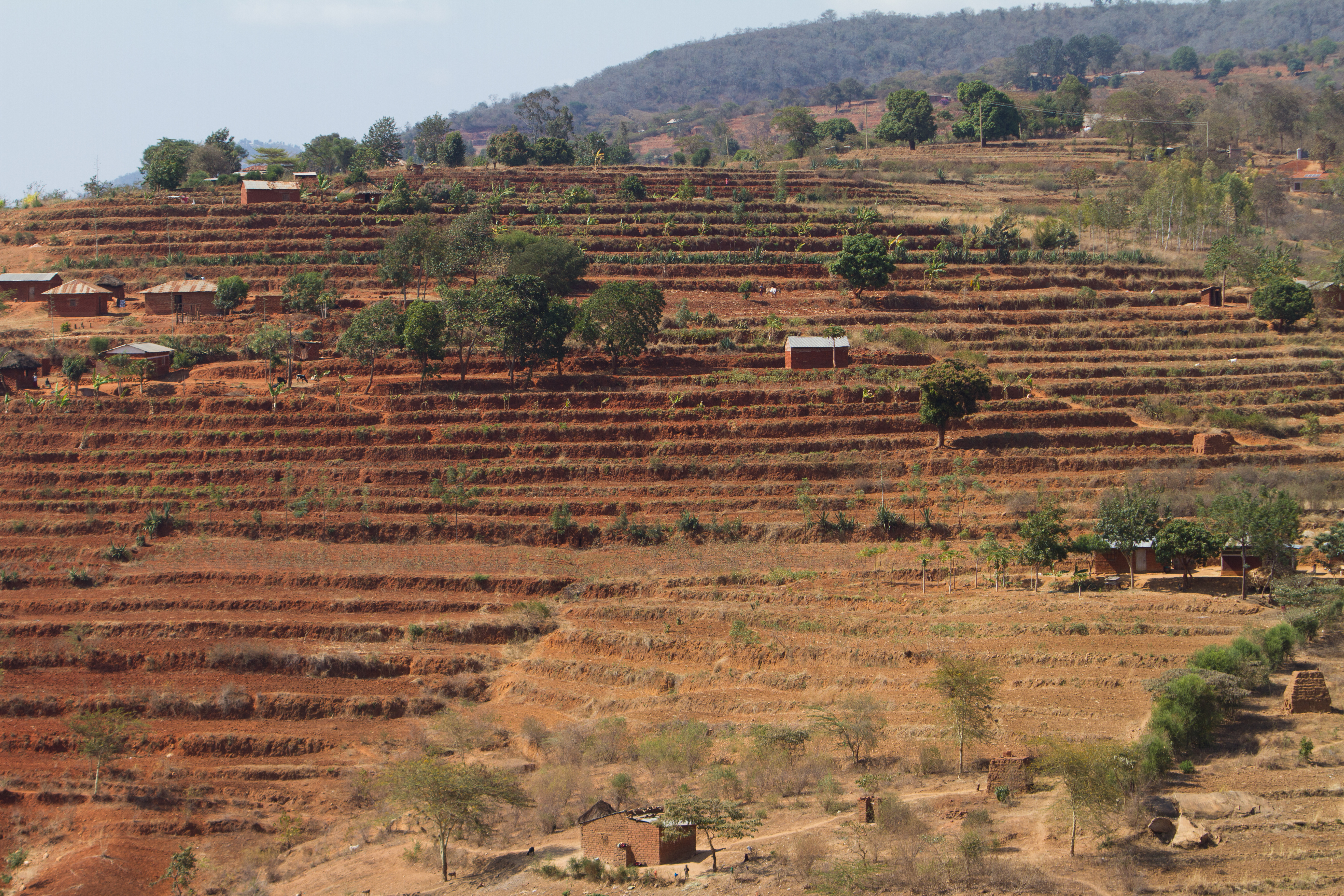 Terracing in Kenya