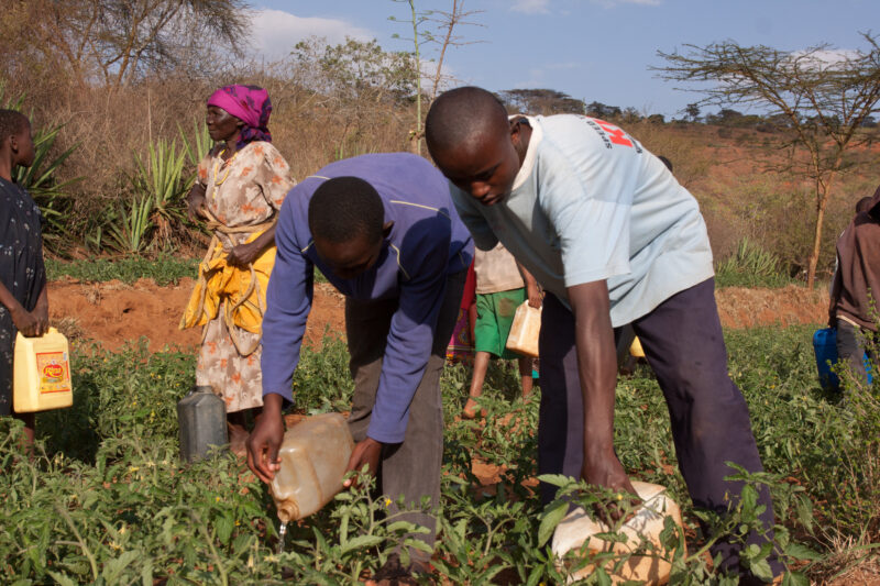 Irrigating the Field — In times of drought, the community must come to irrigate the gardens by hand. — Kenya, Africa, Agriculture, Food, Food Security