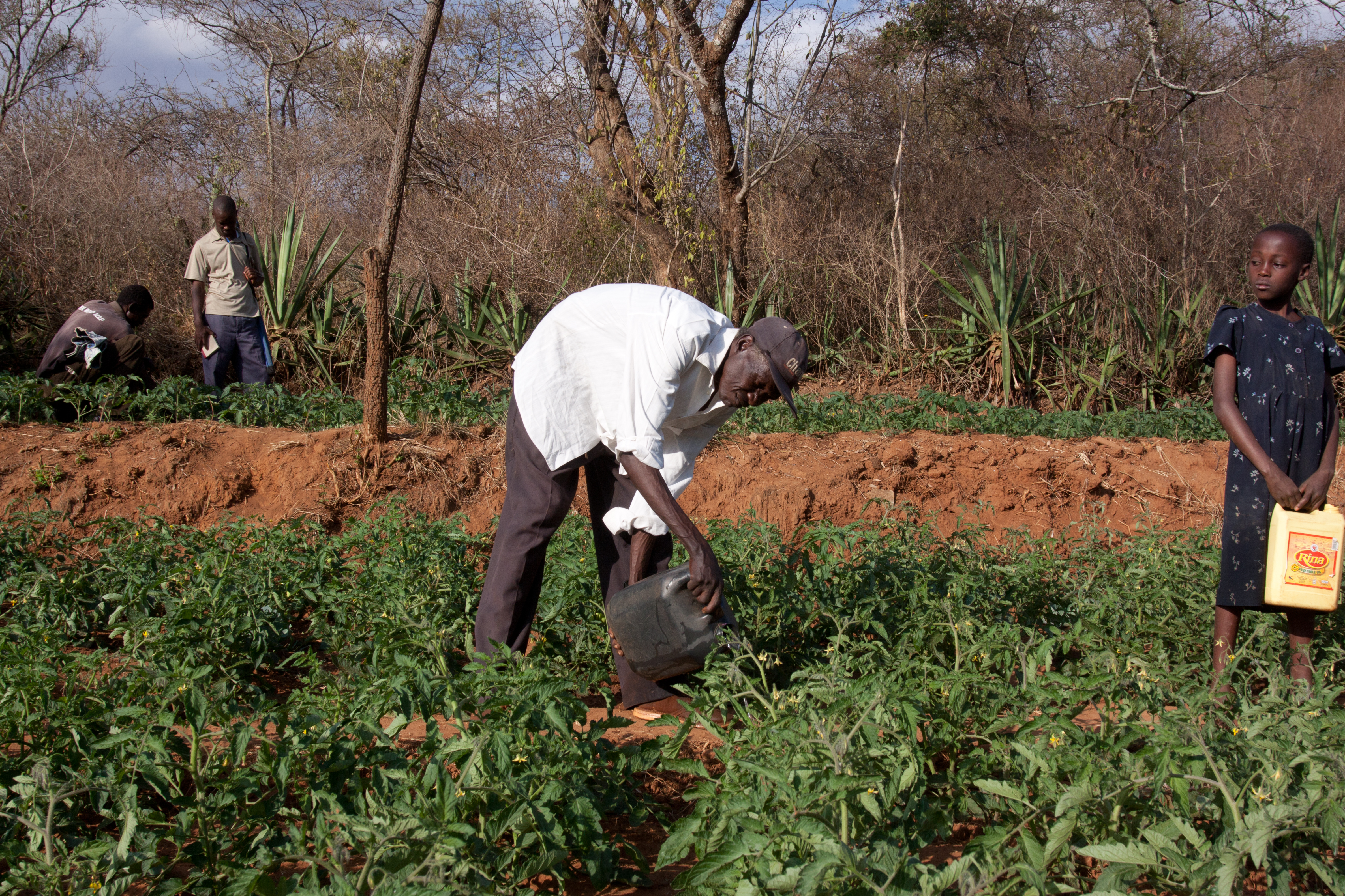 Irrigating the Field