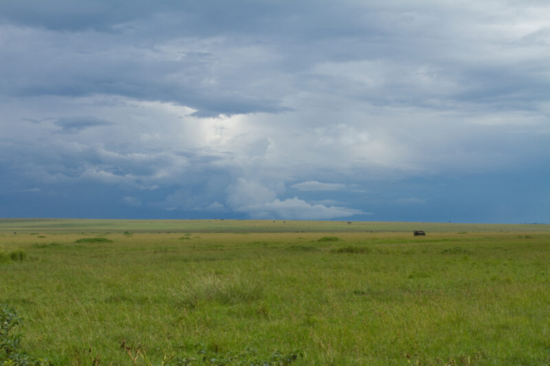 Masai Mara in Kenya — Maasai Mara — Africa, Kenya, Masai Mara, Game Park, wildlife