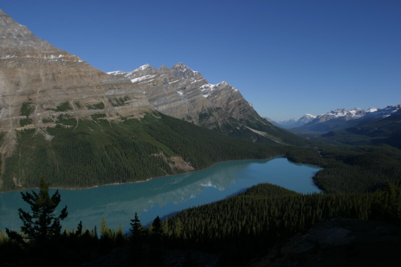 Peyto Lake in Canada