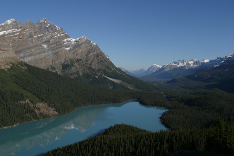 Peyto Lake in Canada — Stock Images of Lakes: Peyto lake in Banff National Park in Alberta Canada — Canada, Alberta, Banff National Park, Scenic, Mountians