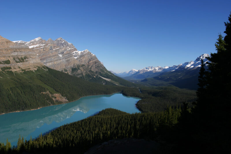 Peyto Lake in Canada — Stock Images of Lakes: Peyto lake in Banff National Park in Alberta Canada — Canada, Alberta, Banff National Park, Scenic, Mountians