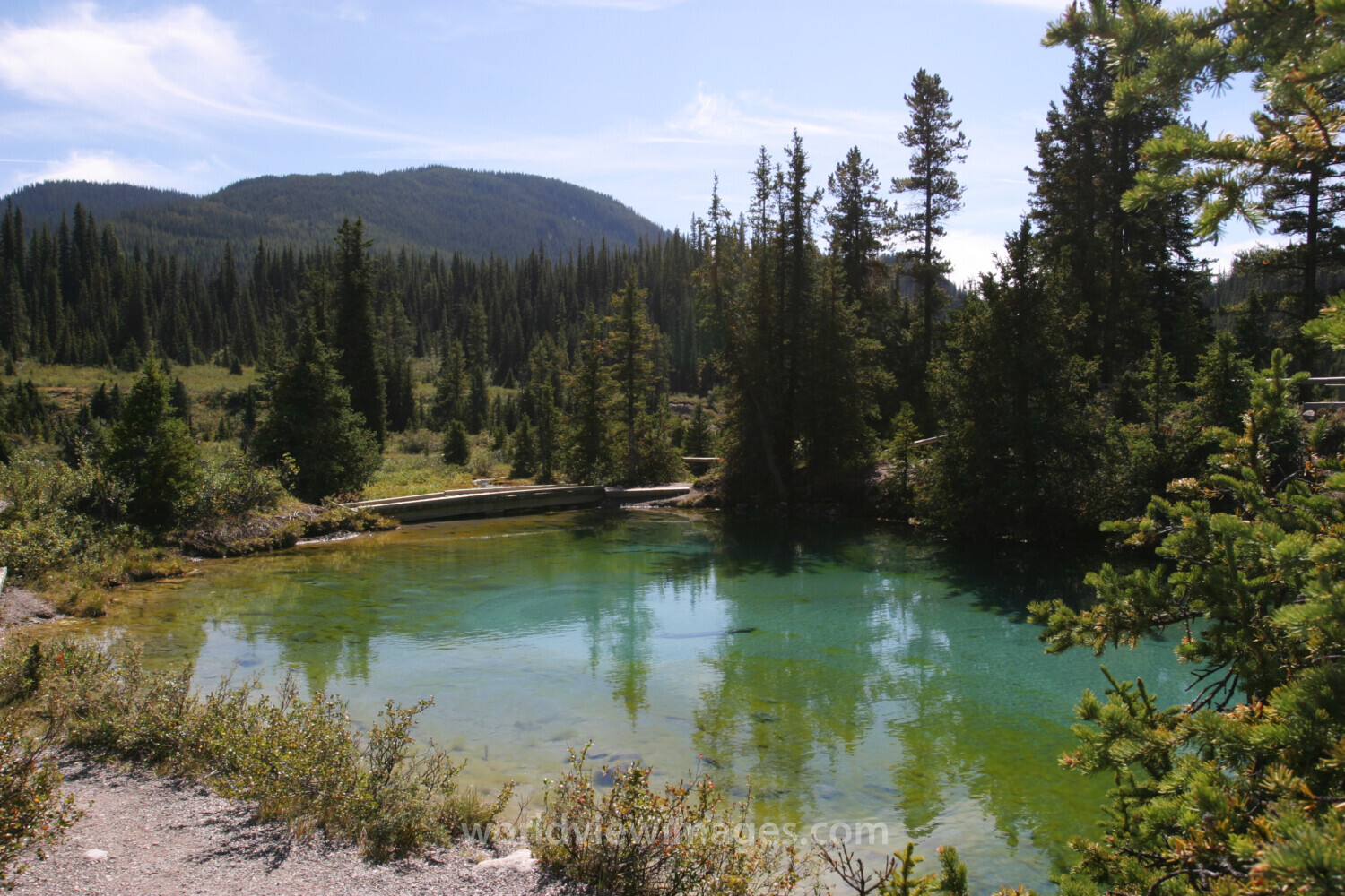 Ink Pots in Banff National Park