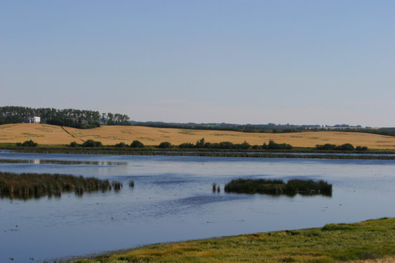 Prarrie Lake — Stock Images of Lakes: Typical lake in Central Alberta Canada — Canada, Alberta, Lake, Lakes, Pond