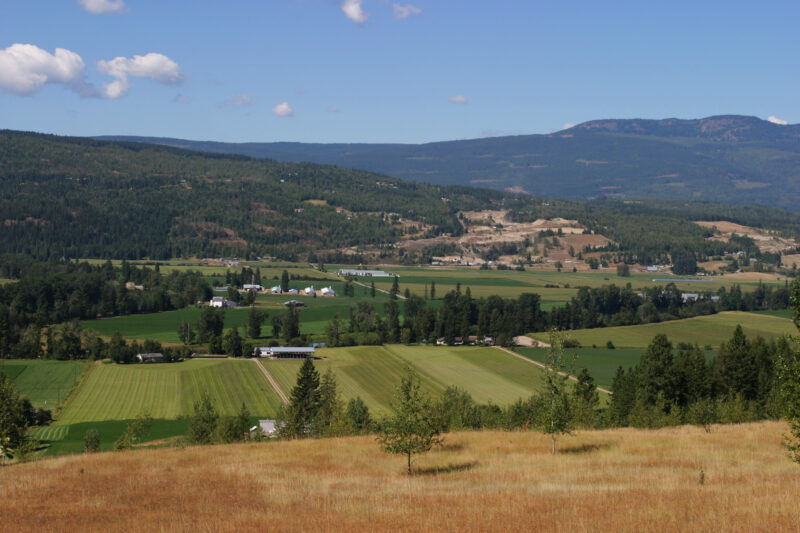 Farm in British Columbia — British Columbia, Canada, Okanagan Valley, Agriculture, Fruit