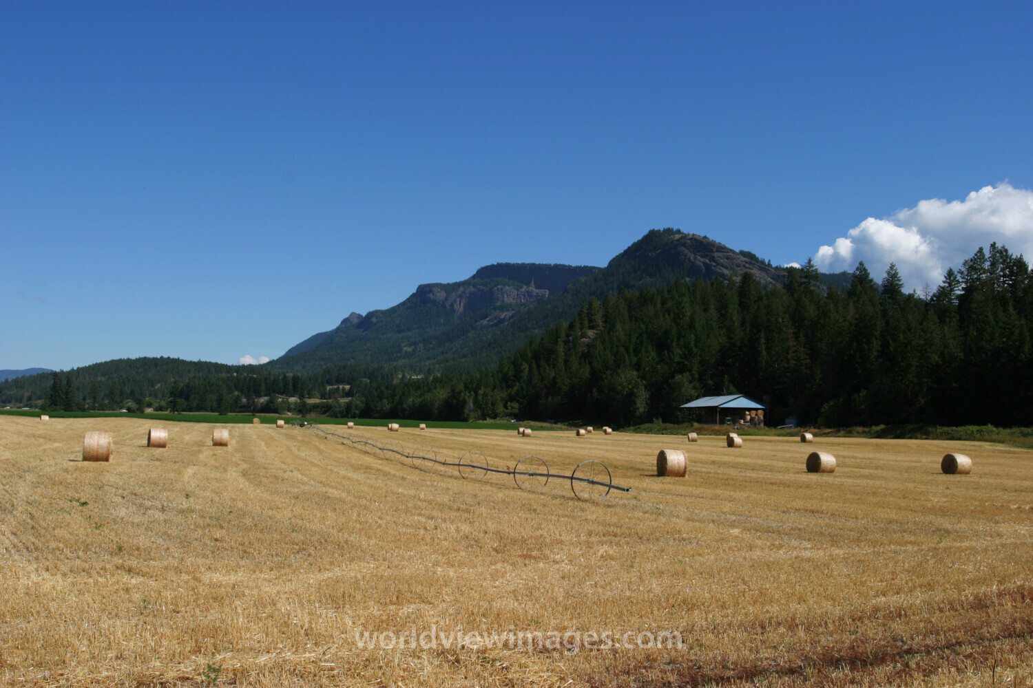 Hay Field Harvested
