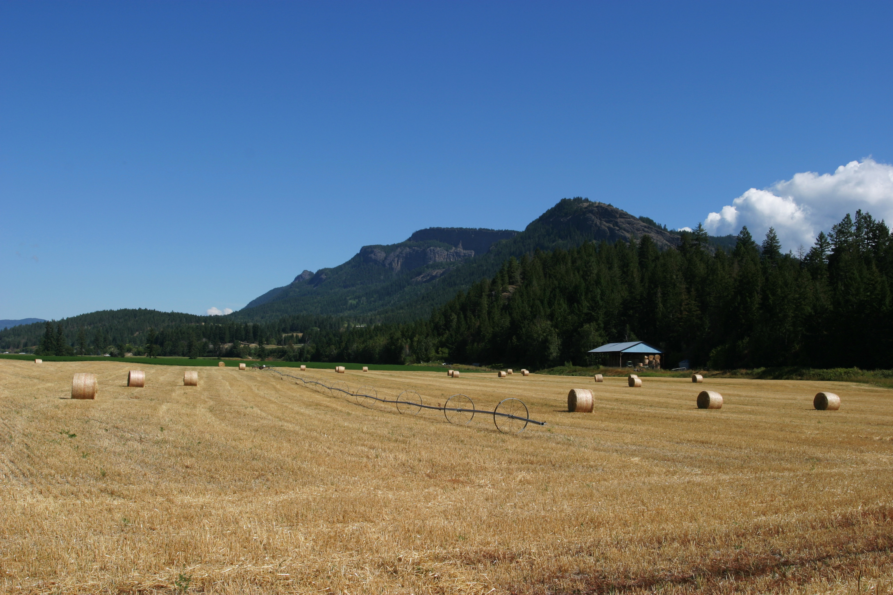 Hay Field Harvested