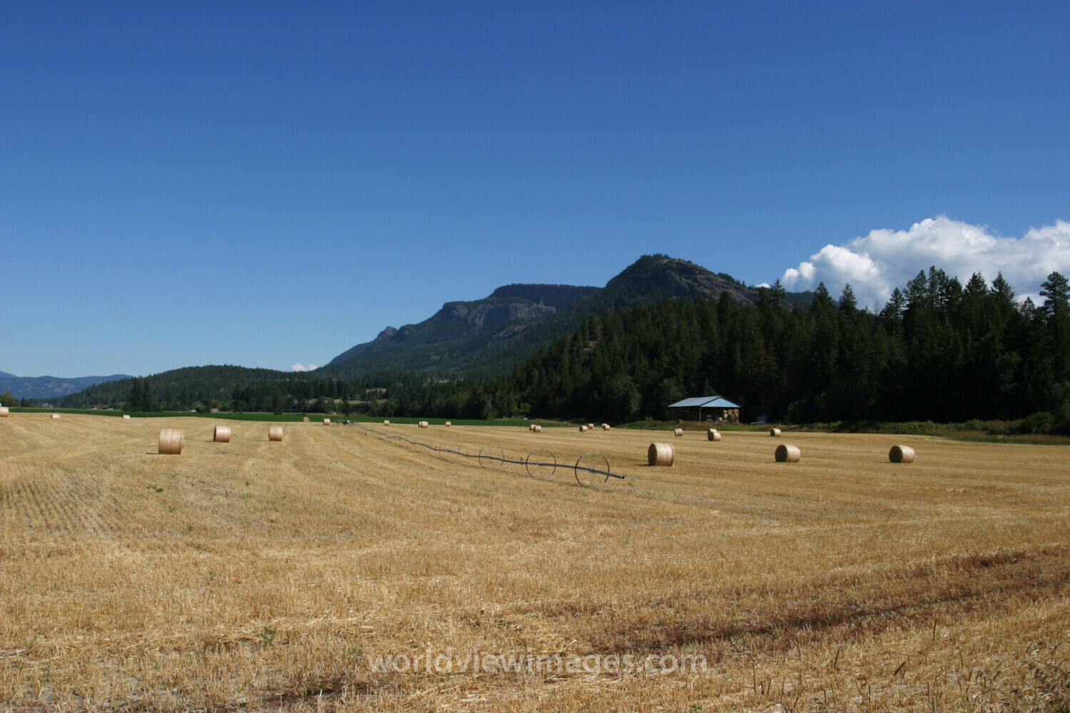 Hay Field Harvested
