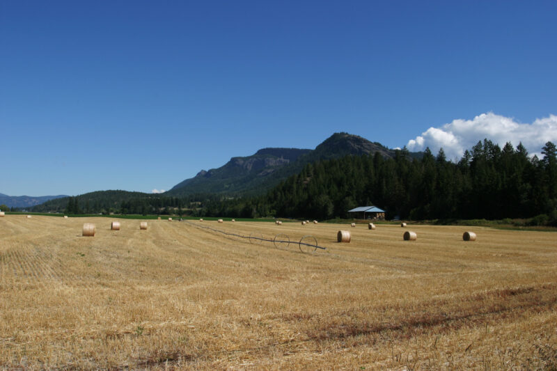 Hay Field Harvested — Hay Field in Okanagan Valley in British Columbia, harvested with large round bales. — British Columbia, Canada, Okanagan Valley, Agricu...