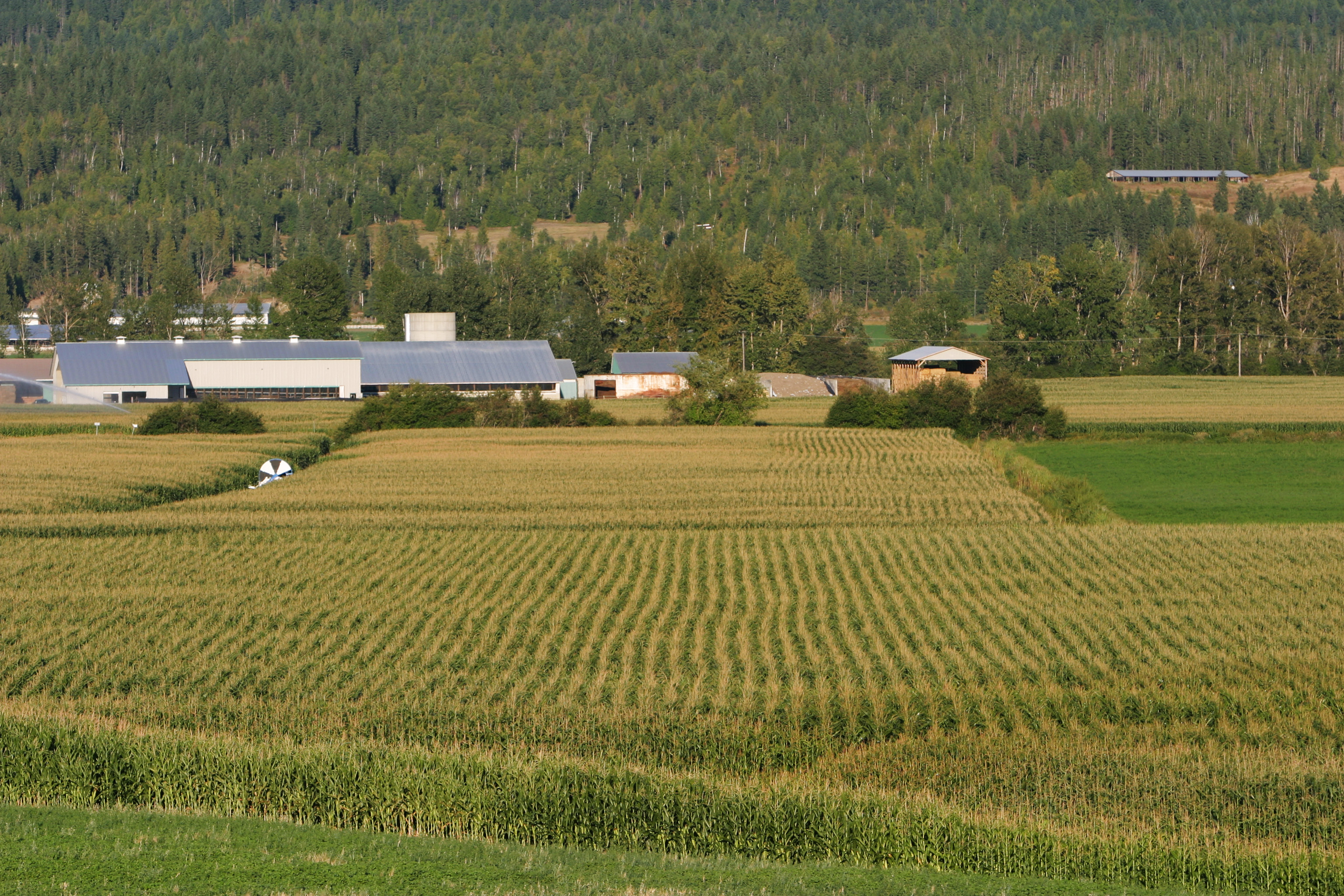 Farm in Canada