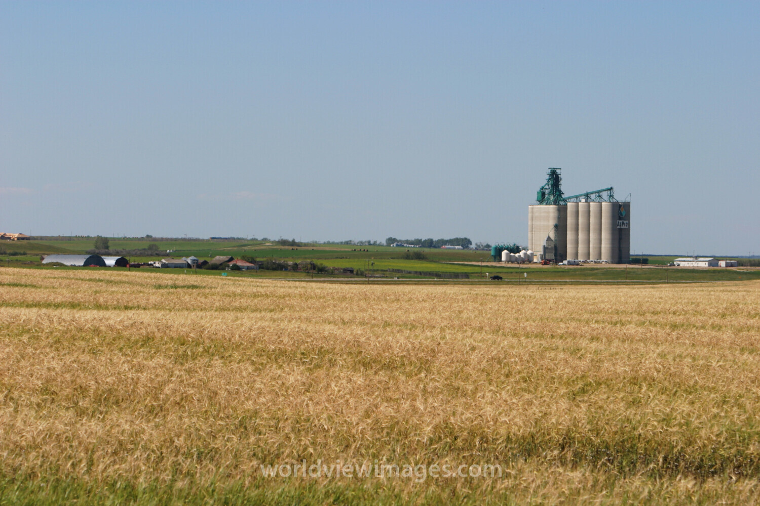 Grain Storage in Canada