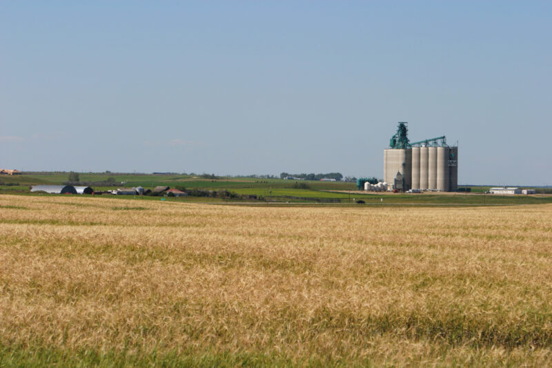 Grain Storage in Canada — New style granaries in Alberta — Canada, Alberta, agriculture, granary, Elevator
