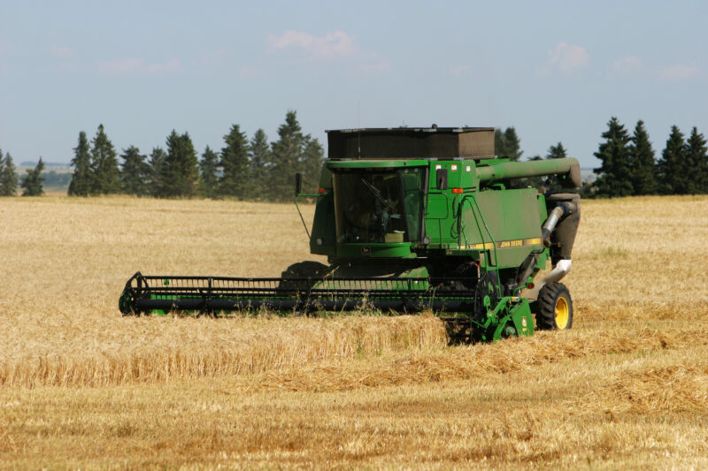 Wheat Harvesting — Harvest Time in Alberta — Canada, Alberta, wheat, field, agriculture