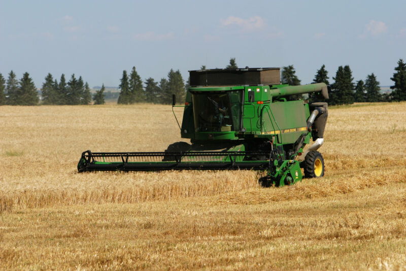 Wheat Harvesting — Harvest Time in Alberta — Canada, Alberta, wheat, field, agriculture