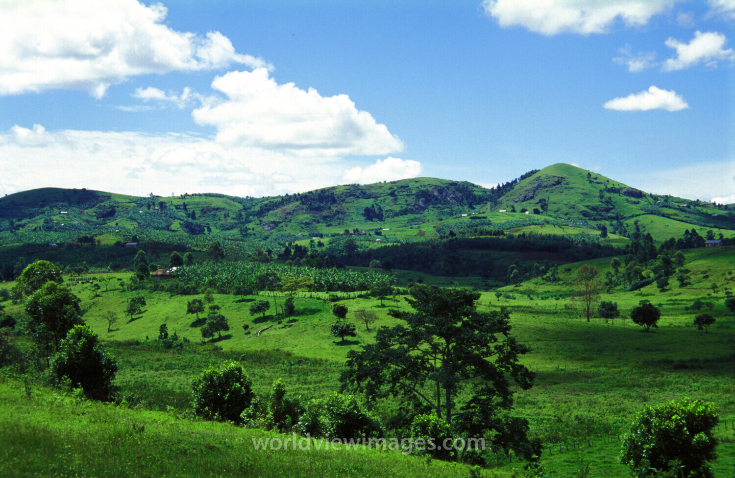 Green Hillside in Malawi