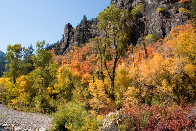 Fall Scene in Utah — Fall Scenes of Beautiful Utah, USA — United States, Scenic, Utah, fall, autumn
