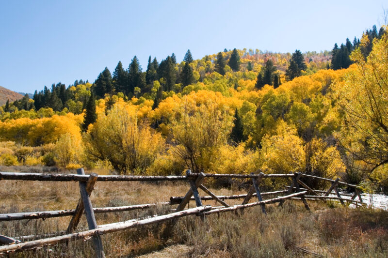 Fall Scene in Utah — Fall Scenes of Beautiful Utah, USA — United States, Scenic, Utah, fall, autumn
