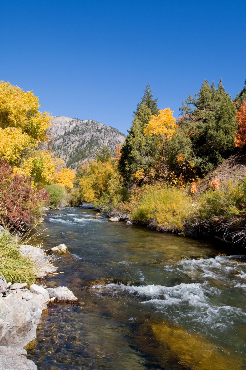 Fall Scene in Utah — Fall Scenes of Beautiful Utah, USA — United States, Scenic, Utah, fall, autumn