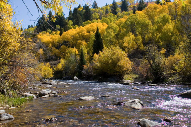 Fall Scene in Utah — Fall Scenes of Beautiful Utah, USA — United States, Scenic, Utah, fall, autumn