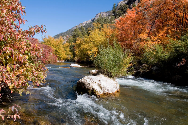 Fall Scene in Utah — Fall Scenes of Beautiful Utah, USA — United States, Scenic, Utah, fall, autumn