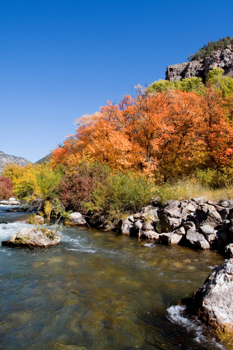 Fall Scene in Utah — Fall Scenes of Beautiful Utah, USA — United States, Scenic, Utah, fall, autumn