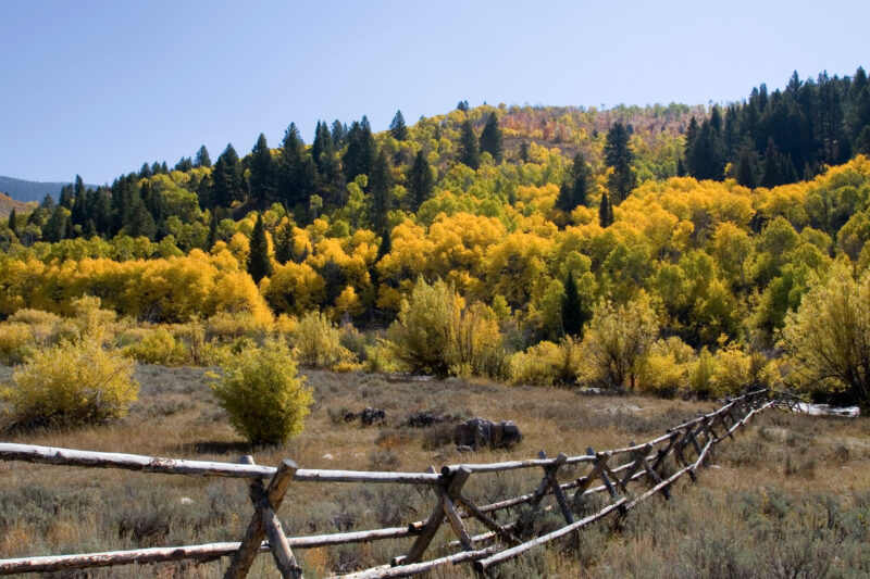 Fall Scene in Utah — Fall Scenes of Beautiful Utah, USA — United States, Scenic, Utah, fall, autumn