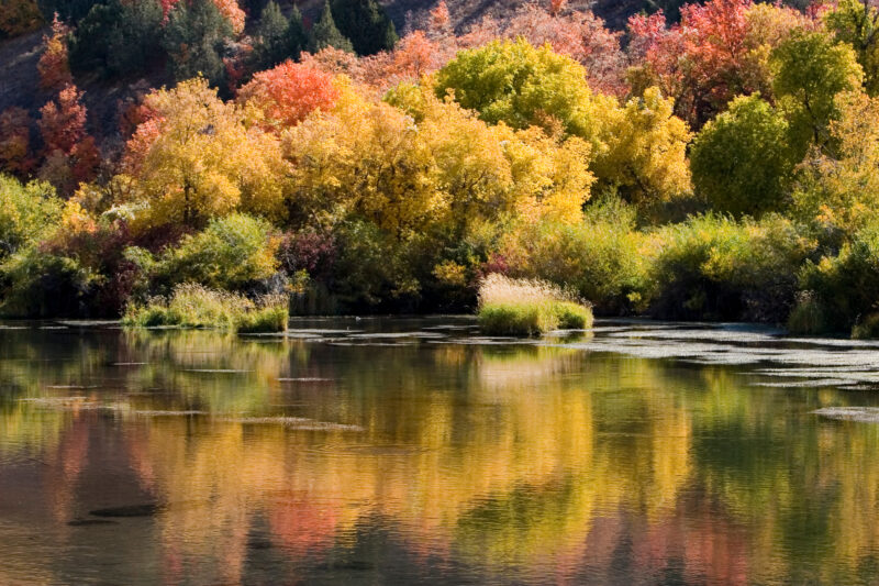Fall Scene in Utah — Fall Scenes of Beautiful Utah, USA — United States, Scenic, Utah, fall, autumn
