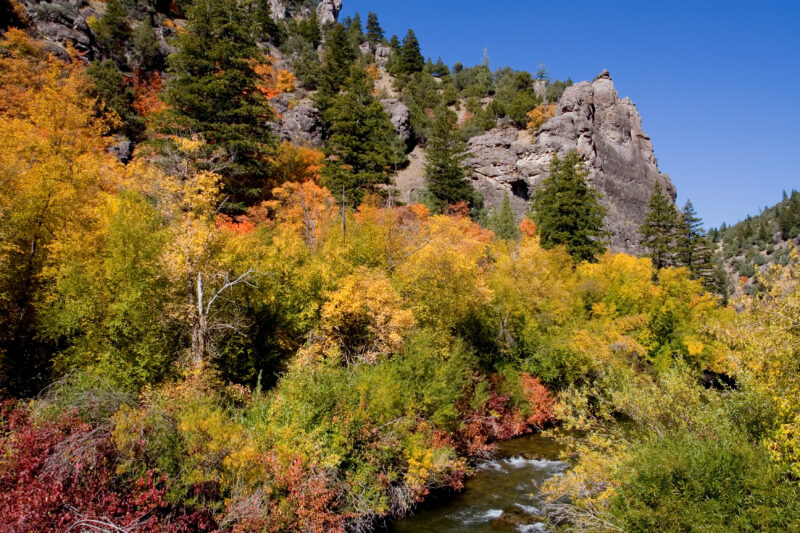Fall Scene in Utah — Fall Scenes of Beautiful Utah, USA — United States, Scenic, Utah, fall, autumn
