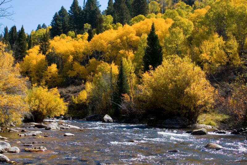 Fall Scene in Utah — Fall Scenes of Beautiful Utah, USA — United States, Scenic, Utah, fall, autumn