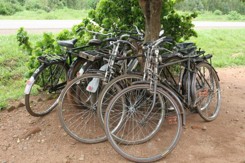 Bicycles in Malawi — Bicycles by a tree in Malawi — Malawi, Africa, bicycles