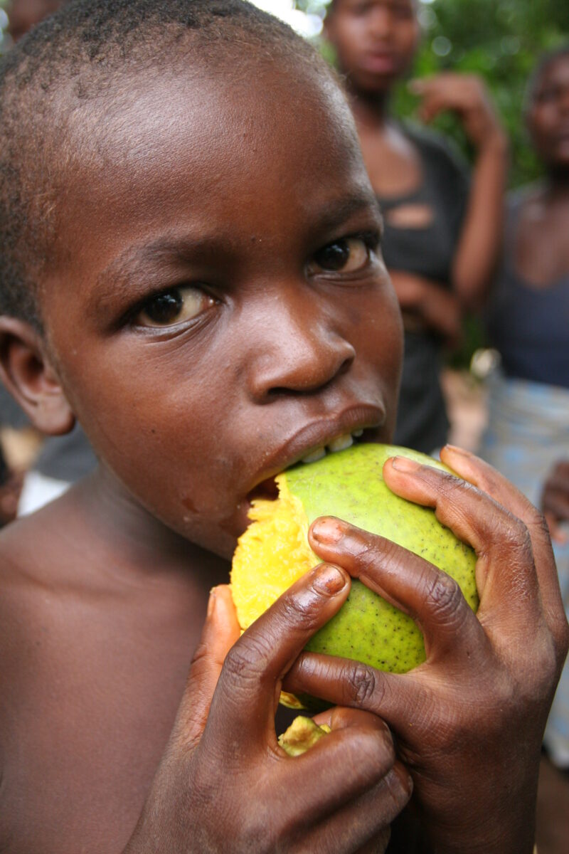 Boy in Malawi — Stock Images of People in Laos: Boys — Malawi, Africa, faces, boy, boys