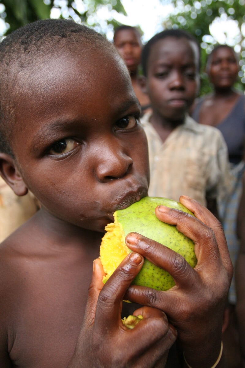 Boy in Malawi — Stock Images of People in Laos: Boys — Malawi, Africa, faces, boy, boys