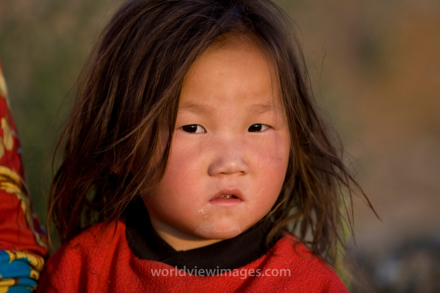 Girl in Mongolia