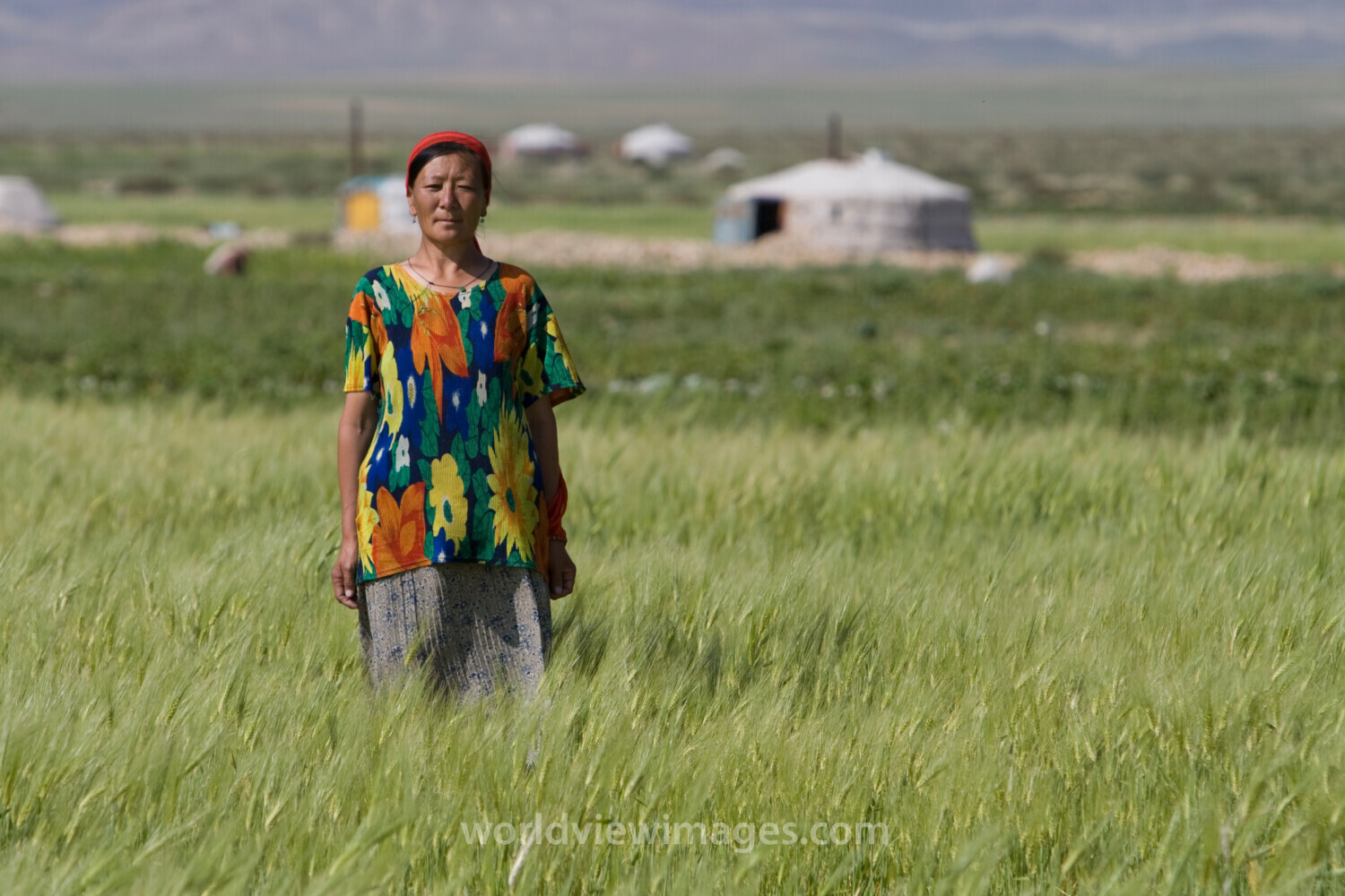 Woman in Field in Mongolia