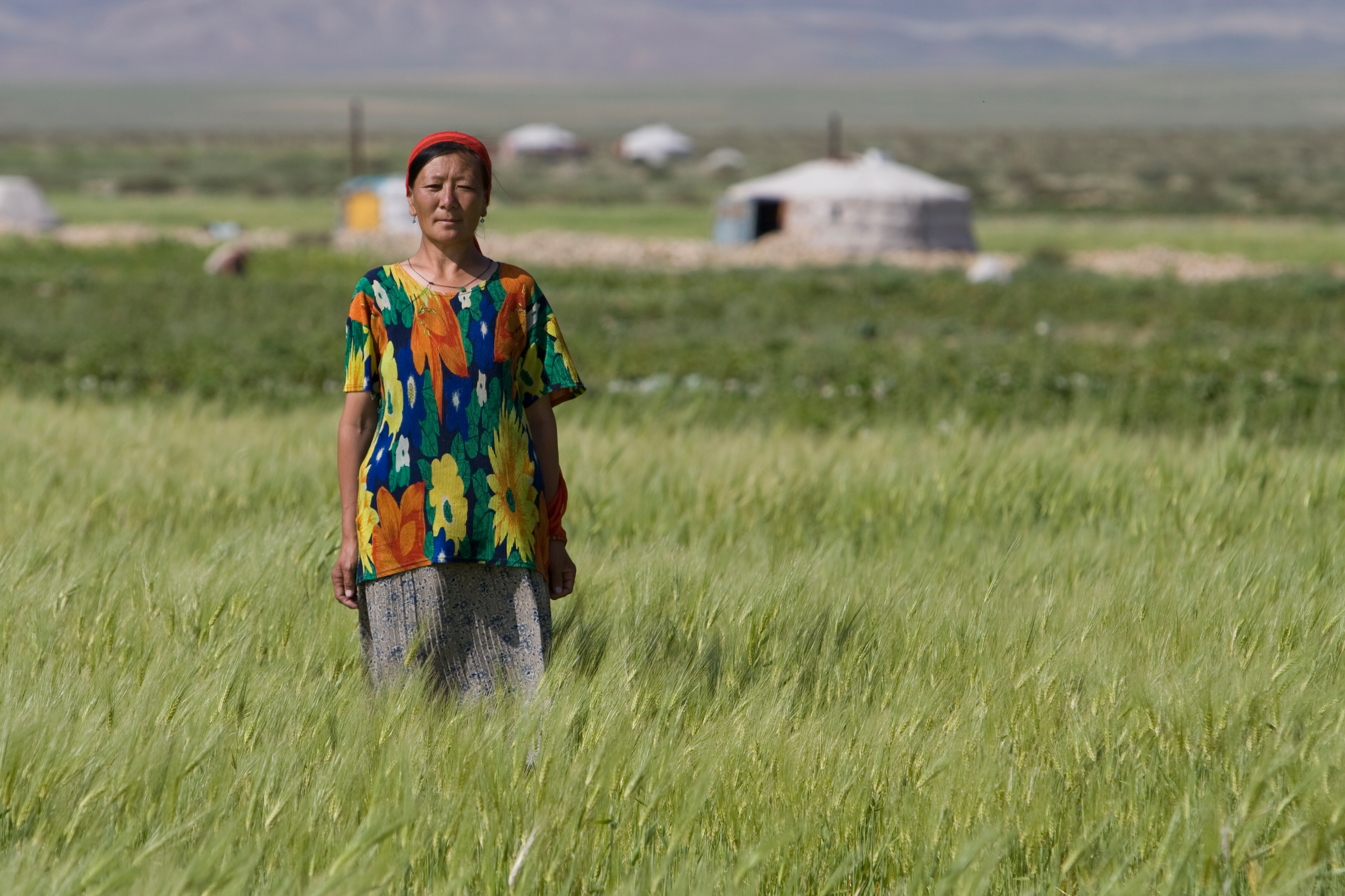 Woman in Field in Mongolia