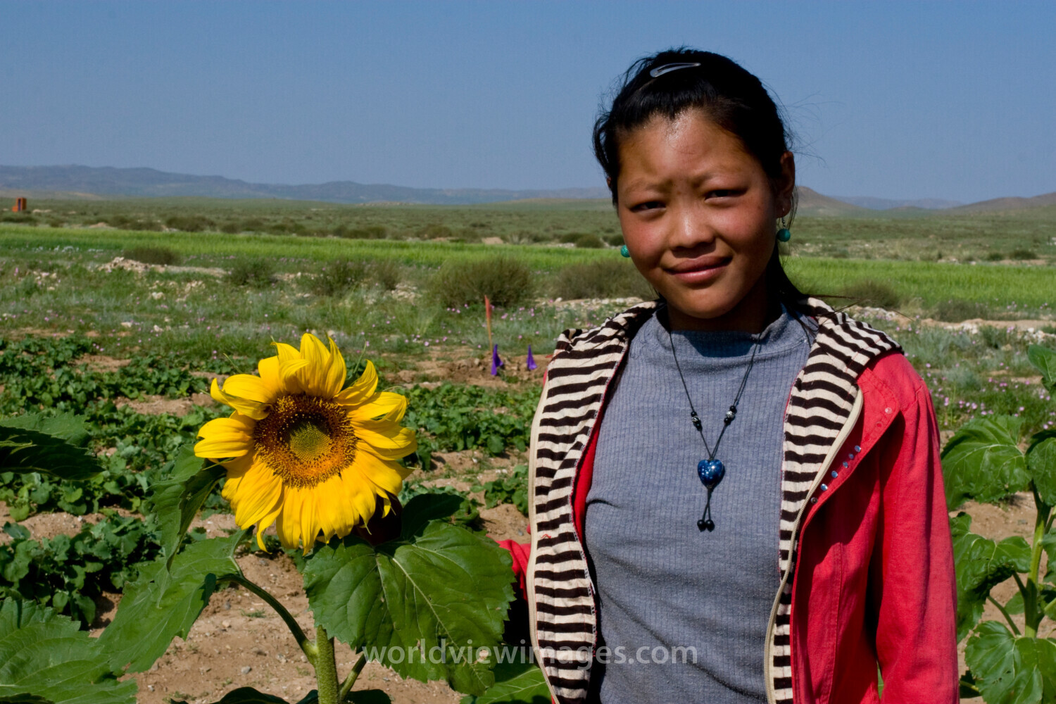 Woman in Mongolia