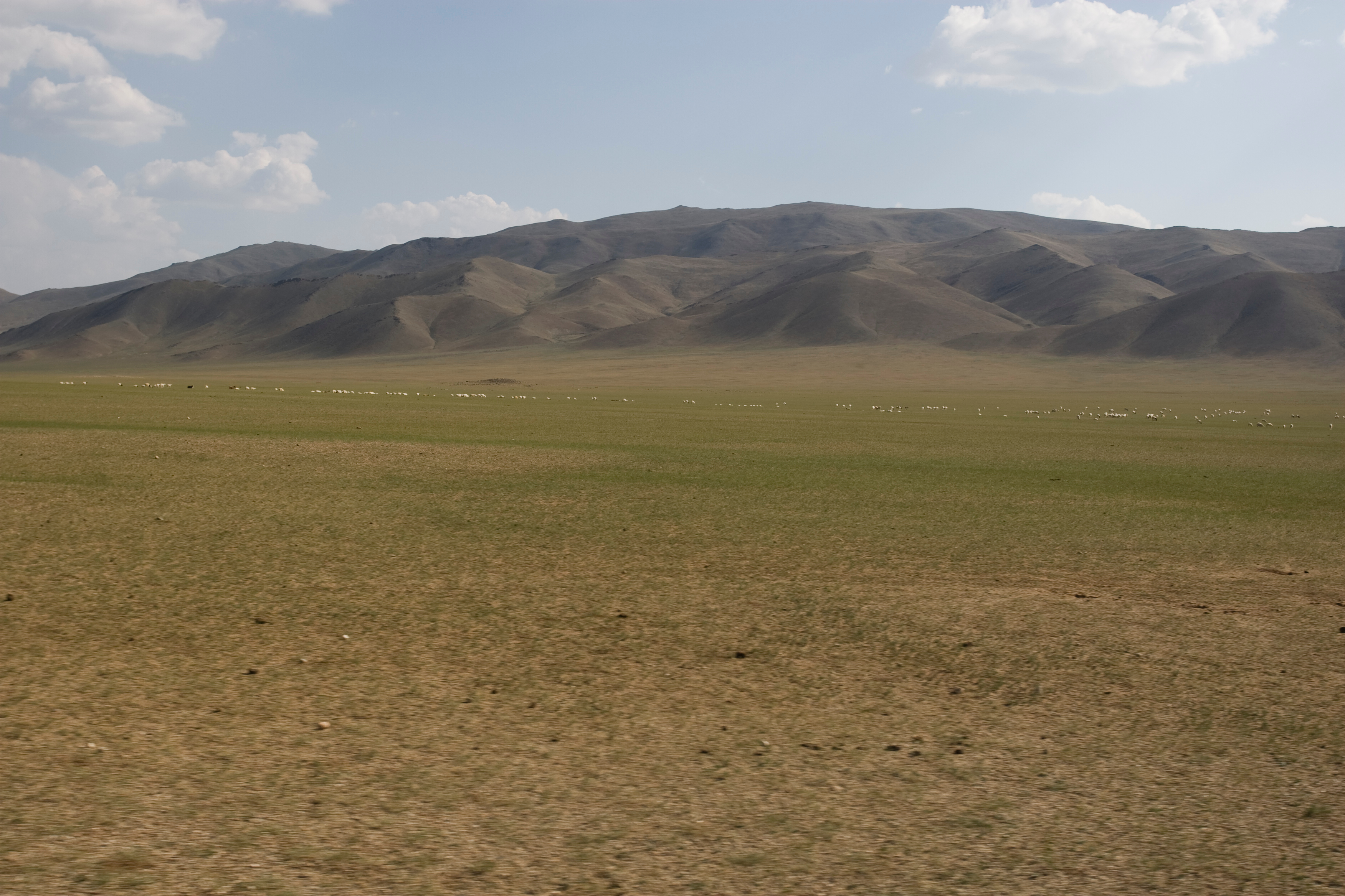 Steppes of Mongolia