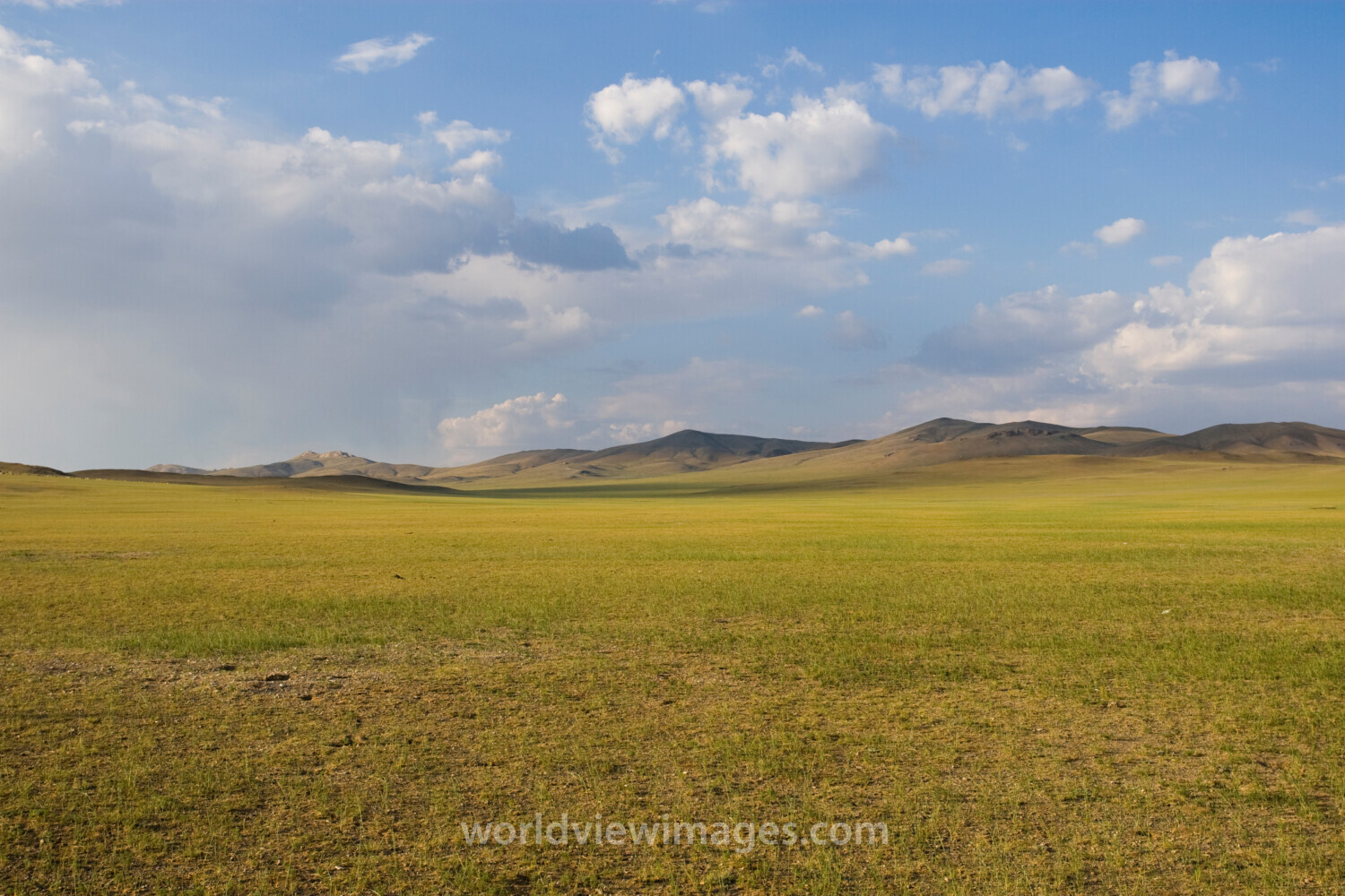 Mongolian Steppes