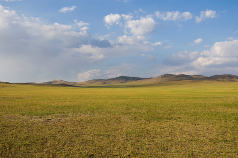 Mongolian Steppes — The Steppes of Mongolia in late summer with green pastures and hills. — Mongolia, green, pastures, steppes, steps