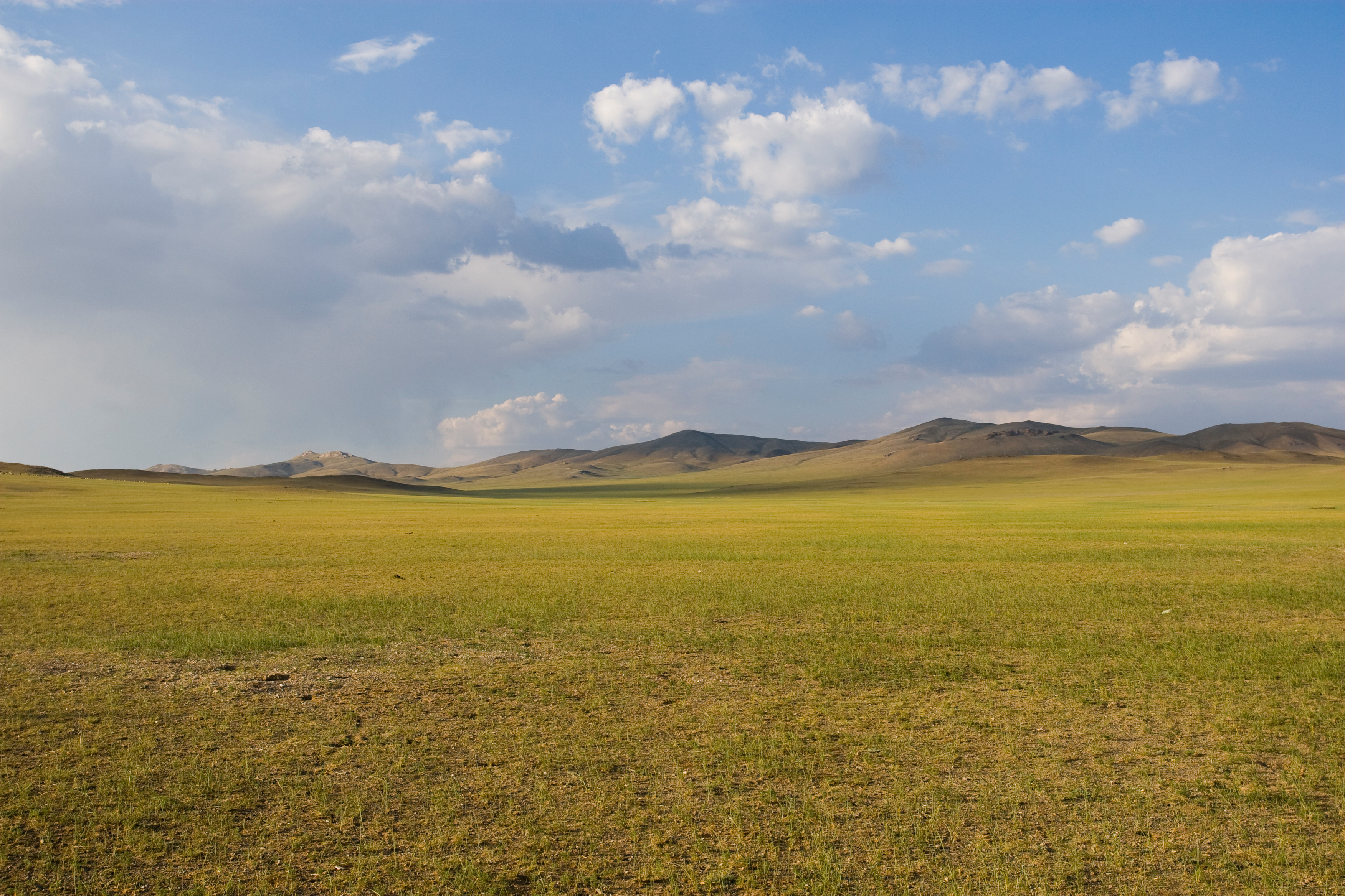 Mongolian Steppes