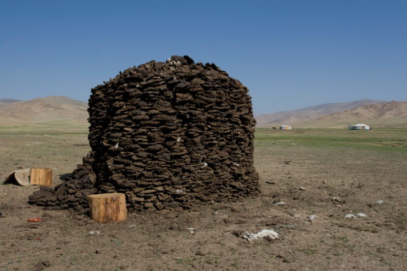 Stack of Bio Fuel — Stock Image of a stack of Yak manure drying in sun to be used as fuel for fire. — Mongolia, yak manure, fuel, bio fuel