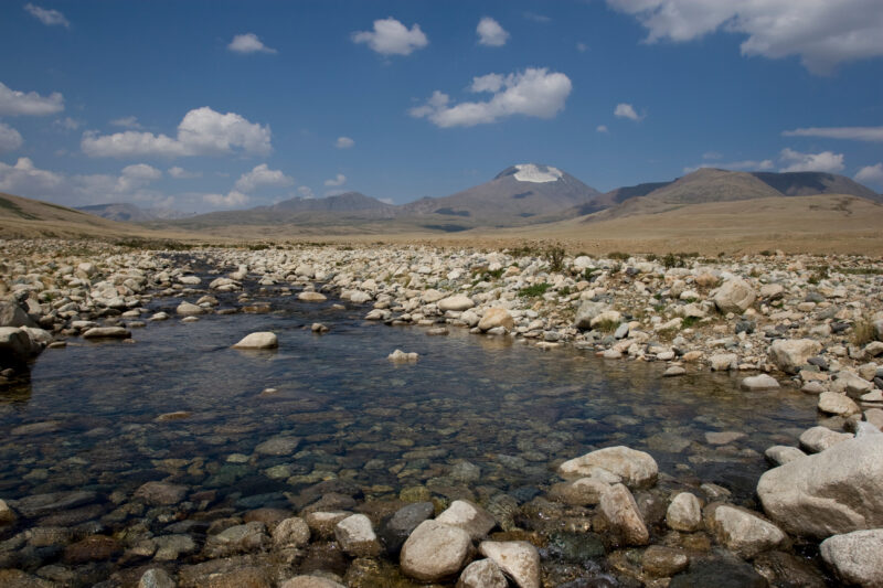 Mountain Stream in Mongolia — Mongolia, river, stream