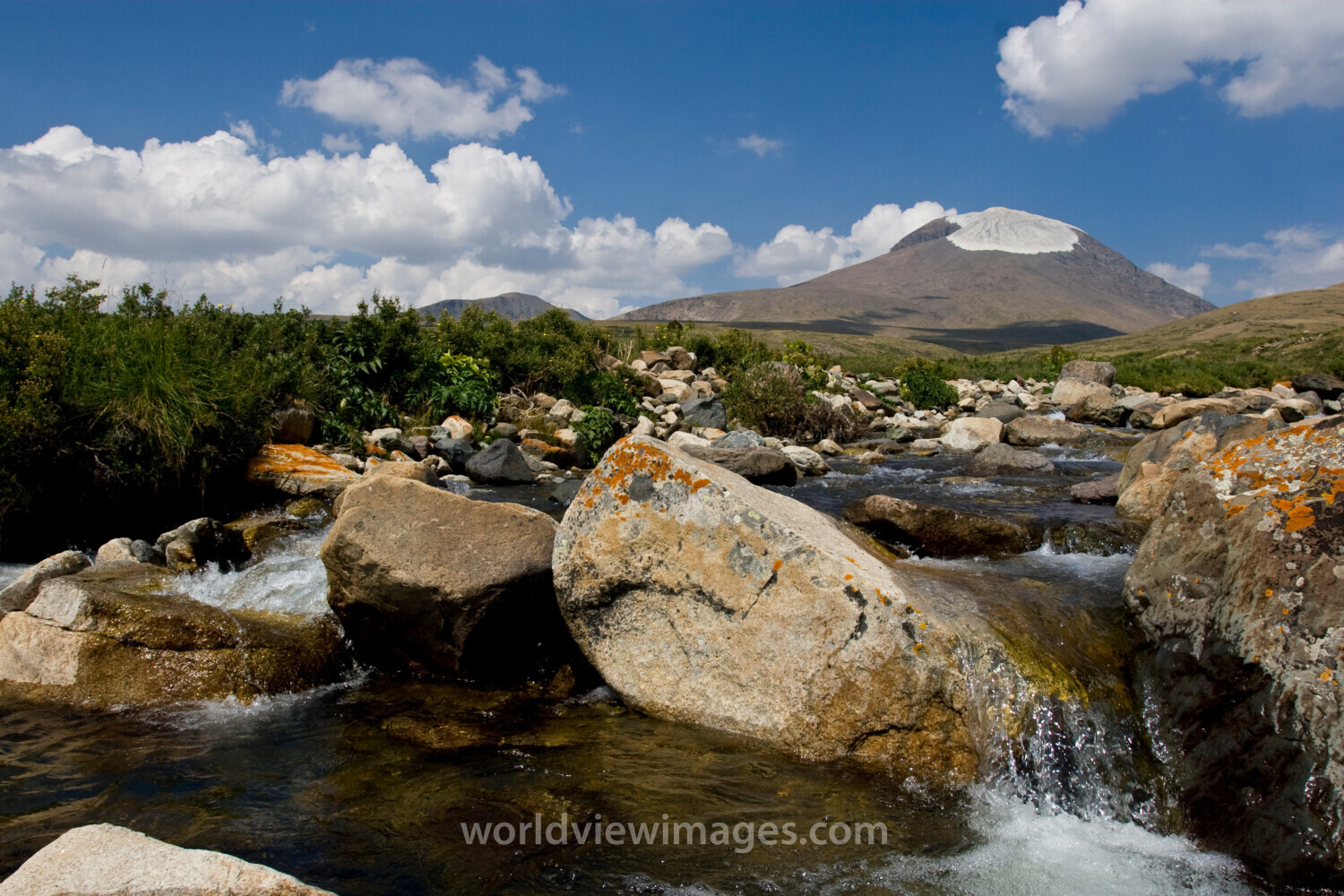 Mountain Stream in Mongolia